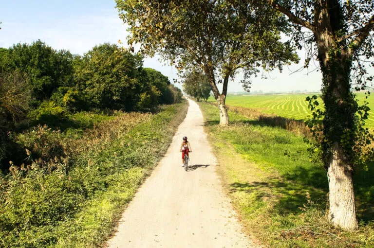 In bici da classe a cervia 01