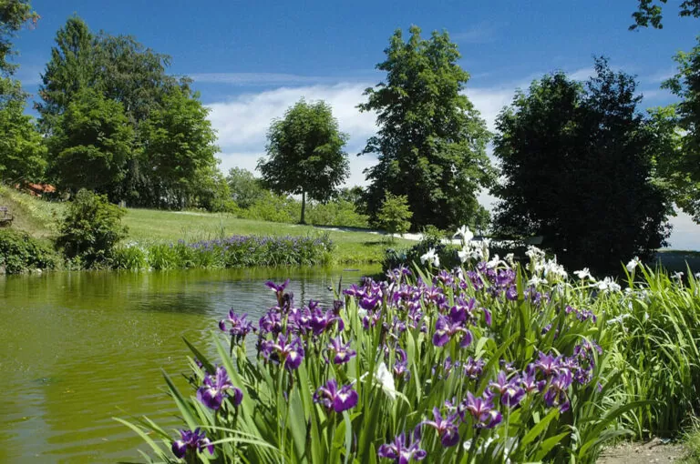 Parco burcina laghetto