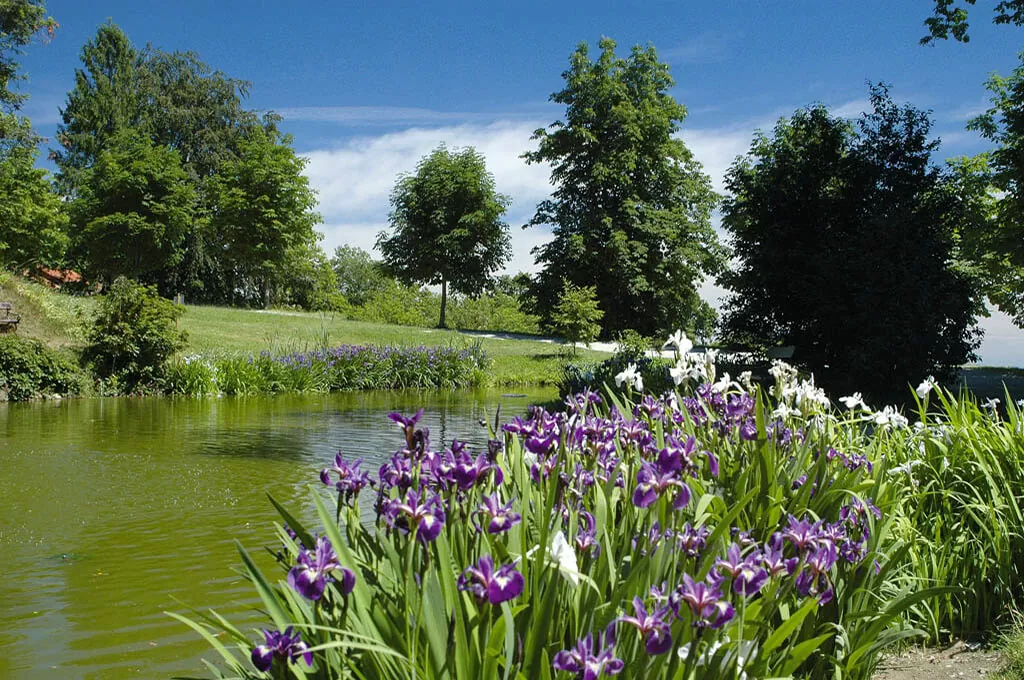 Parco burcina laghetto