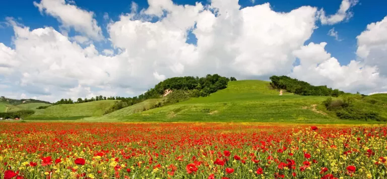 Speciale 5 idee per vivere la natura