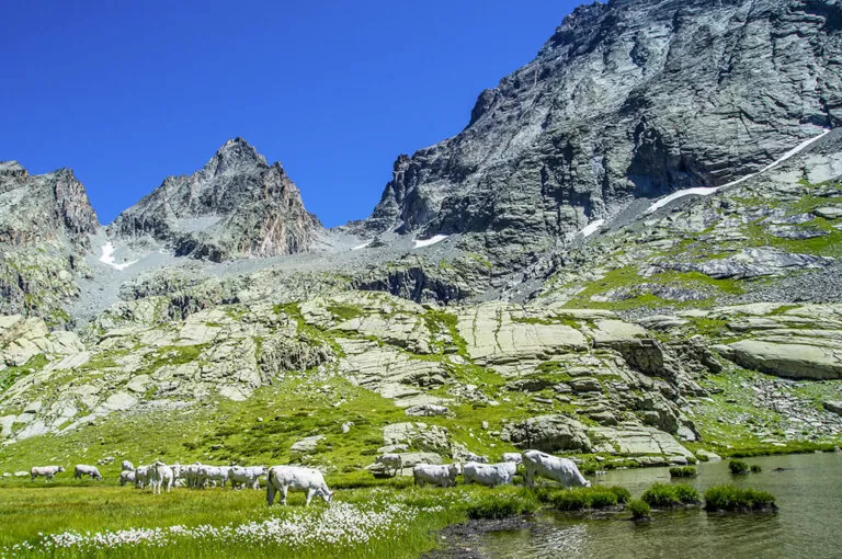 Attorno al monviso, dalla sorgente del po al rifugio sella: pendici Monviso