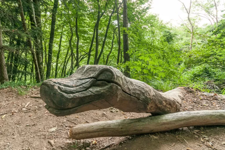 Corni di canzo: sculture legno lungo il sentiero