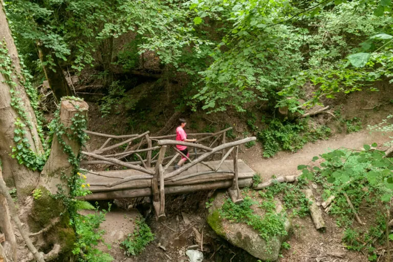 Corni di canzo: nel sentiero Spirito del Bosco