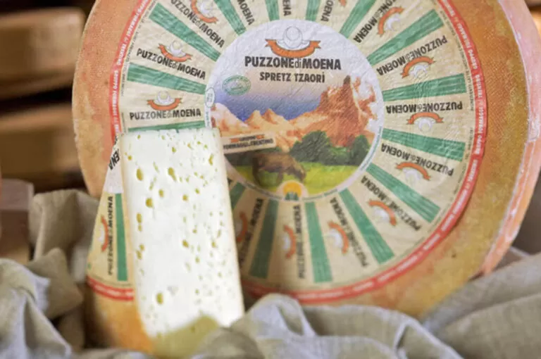 Festival del puzzone di moena