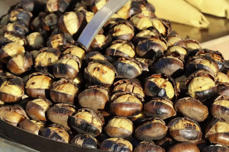 La sagra del marrone