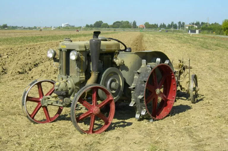 Fiera agricola di san biagio