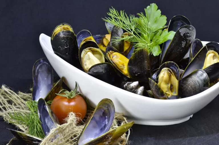 Festa delle cozze
