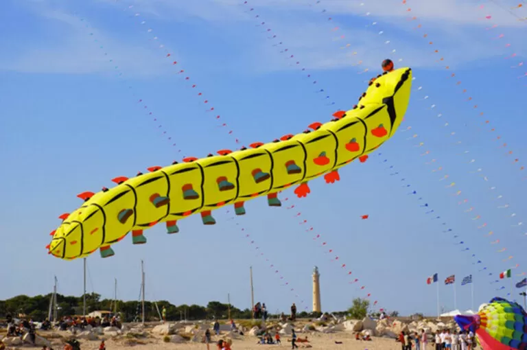 Festival internazionale degli aquiloni