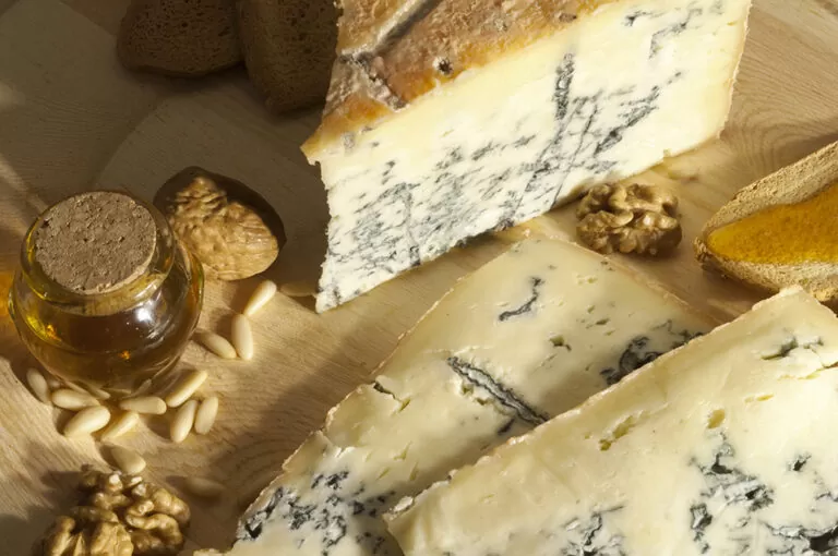 Sagra del gorgonzola
