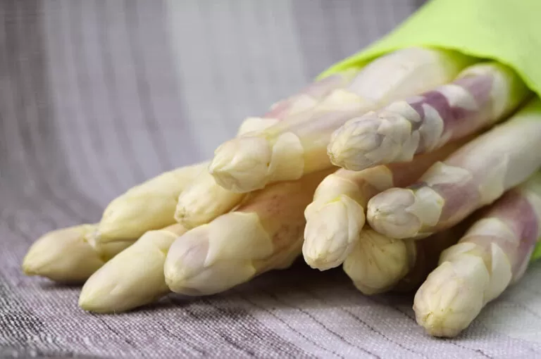 Sagra dell’asparago