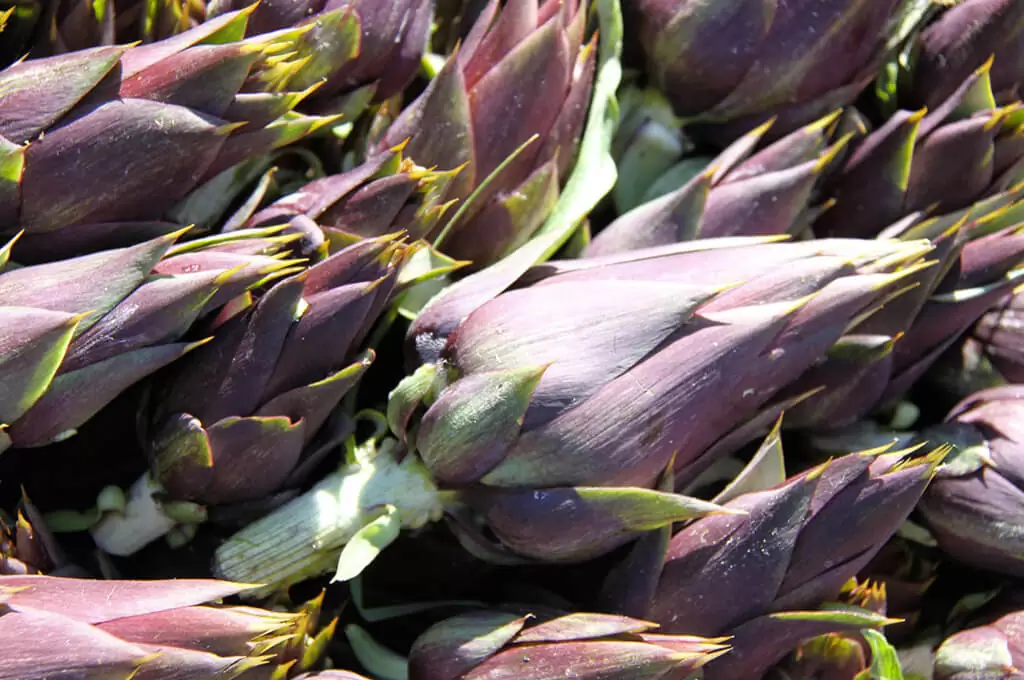 Sagra del carciofo moretto