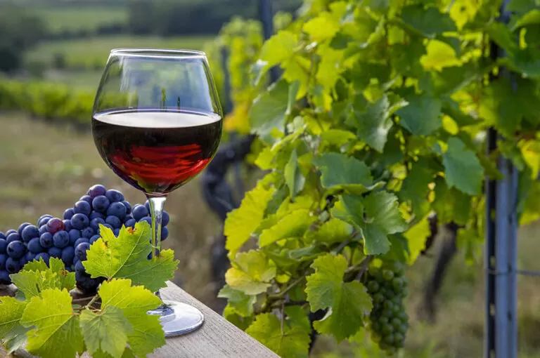 Festa del moscato di scanzo