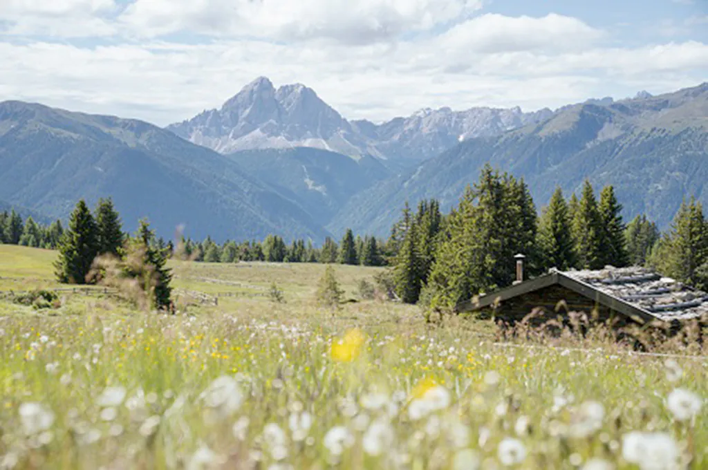 Malghe in fiore