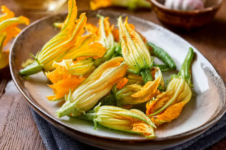 Sagra del fiore di zucca fritto