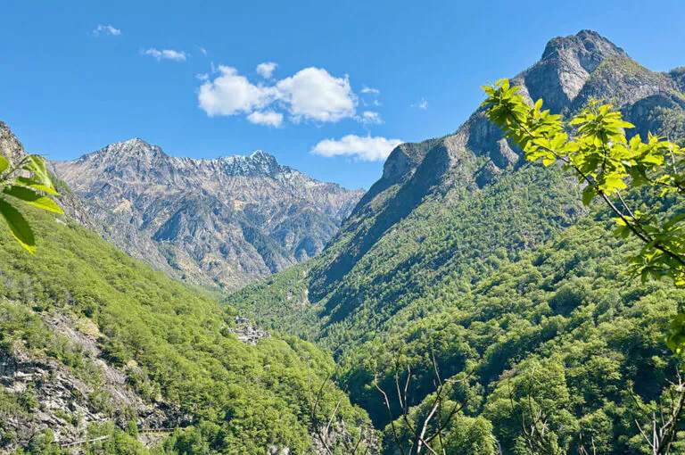 In val codera fino al rifugio brasca 05 veduta sulla vallata