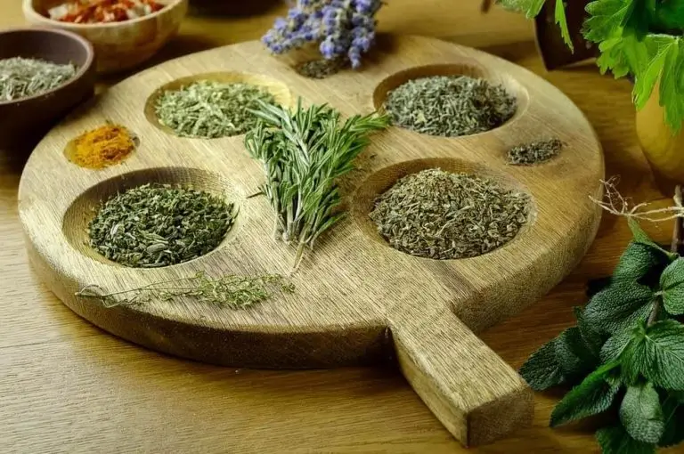 Festa delle erbe di primavera