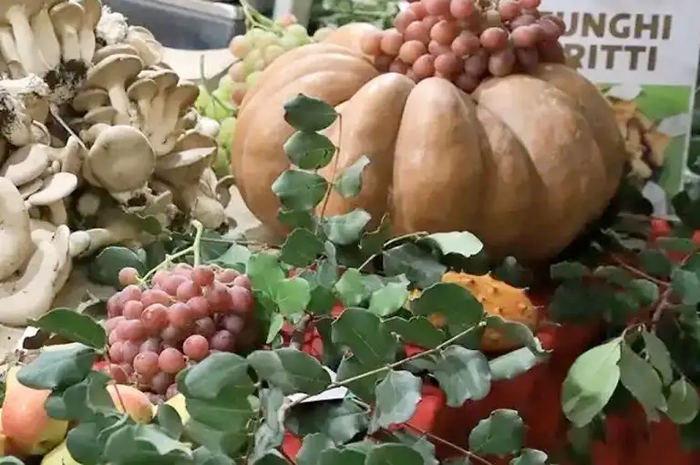 Festa dei frutti d'autunno e dei frutti dimenticati castellana grotte